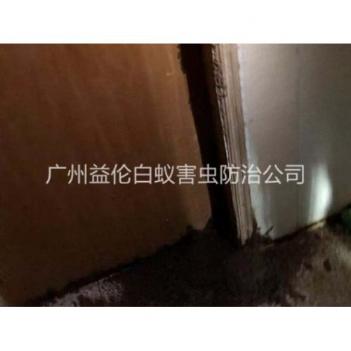 嘉禾白蚁危害防治工程