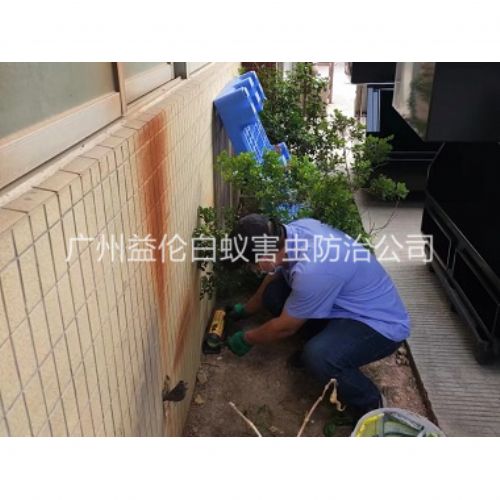 良田投放灭鼠装置工程