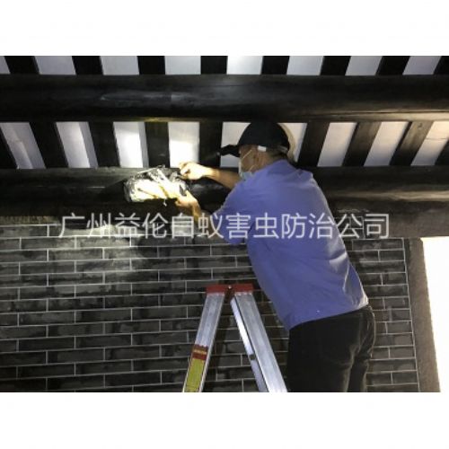 神山祠堂杀灭白蚁工程