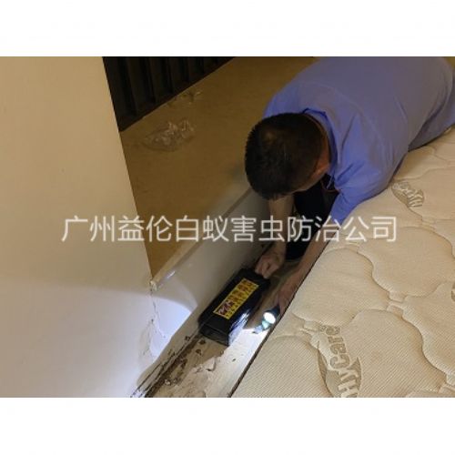 太和家居白蚁灭治工程