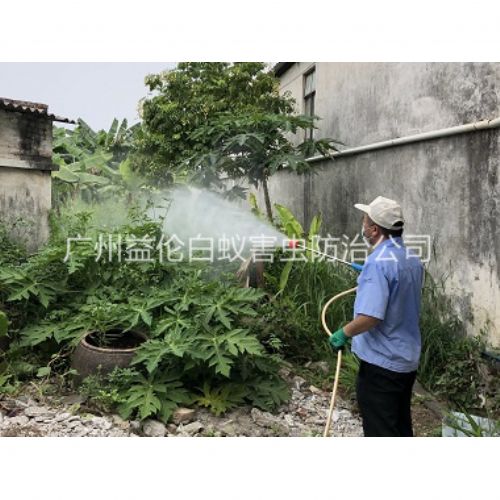 金沙洲社区消灭蚊子工程