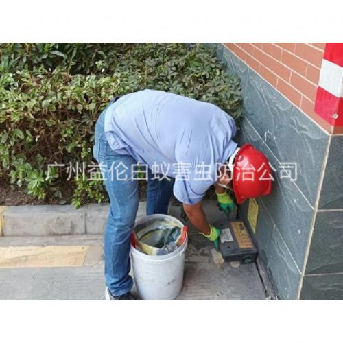 人和安装灭鼠器工程