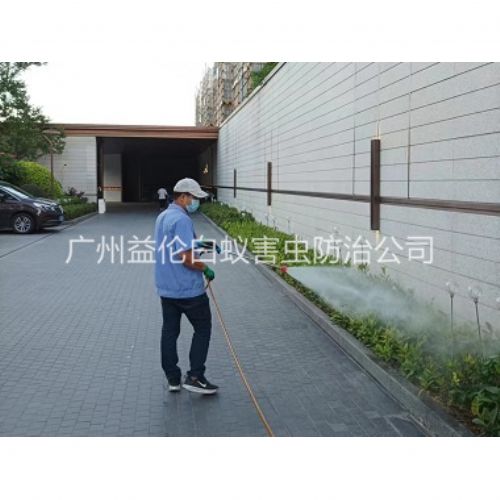 金沙洲消杀蚊蝇工程