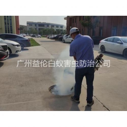 龙归登革热防控消杀工程