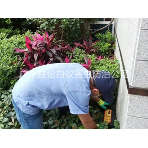 嘉禾住宅环境灭鼠工程